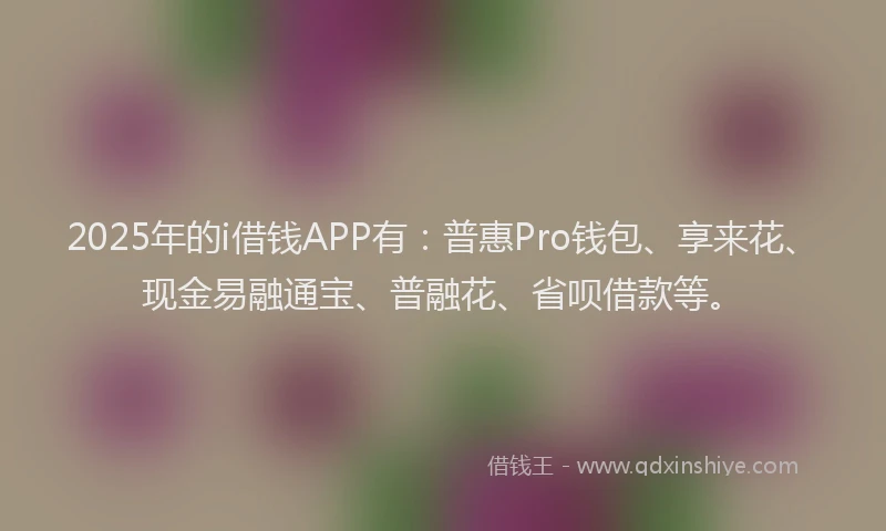 2025年的i借钱APP有：普惠Pro钱包、享来花、现金易融通宝、普融花、省呗借款等。