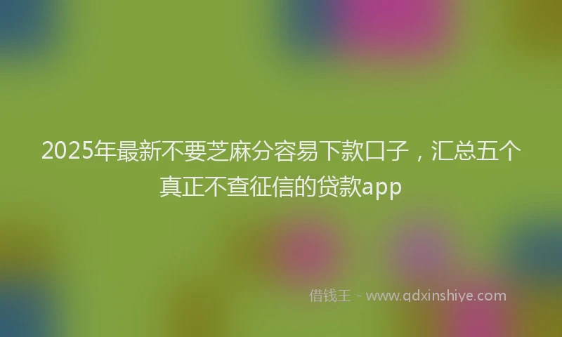 2025年最新不要芝麻分容易下款口子，汇总五个真正不查征信的贷款app