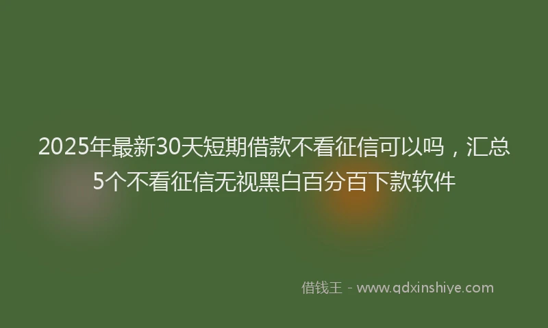 2025年最新30天短期借款不看征信可以吗，汇总5个不看征信无视黑白百分百下款软件