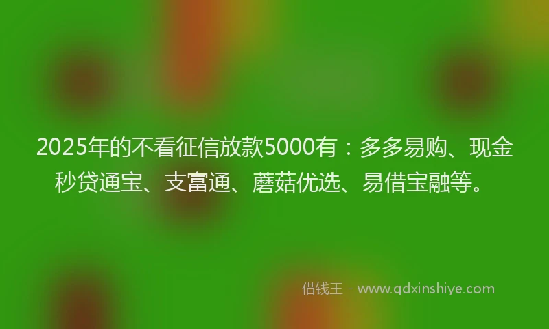 2025年的不看征信放款5000有：多多易购、现金秒贷通宝、支富通、蘑菇优选、易借宝融等。