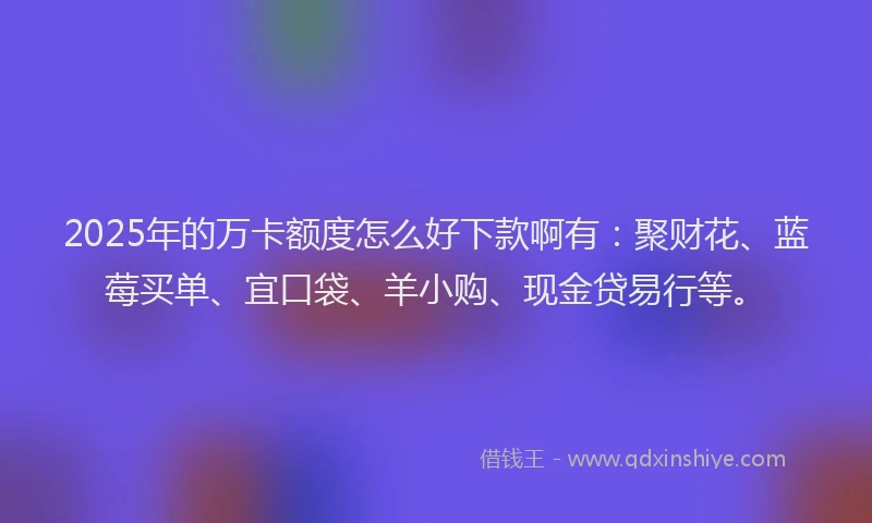 2025年的万卡额度怎么好下款啊有：聚财花、蓝莓买单、宜口袋、羊小购、现金贷易行等。