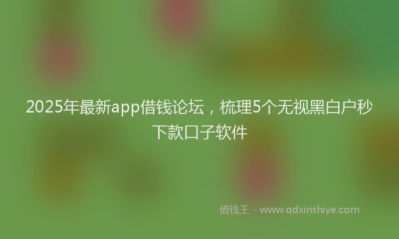 2025年最新app借钱论坛，梳理5个无视黑白户秒下款口子软件