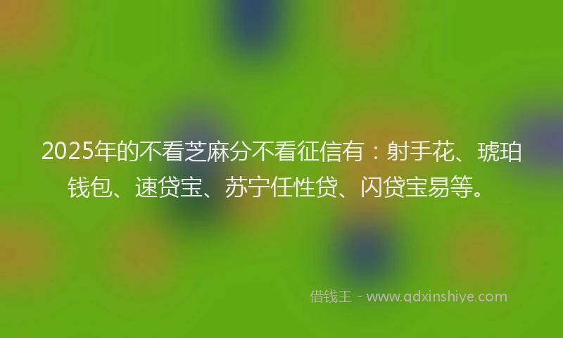 2025年的不看芝麻分不看征信有：射手花、琥珀钱包、速贷宝、苏宁任性贷、闪贷宝易等。