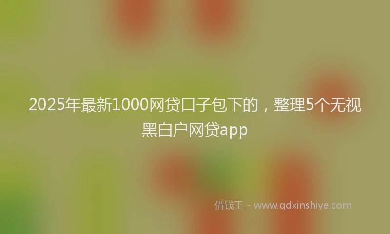 2025年最新1000网贷口子包下的，整理5个无视黑白户网贷app