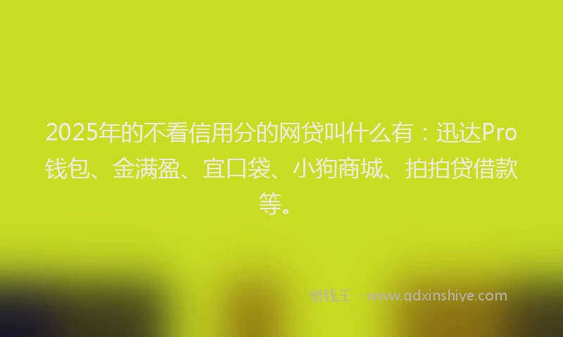 2025年的不看信用分的网贷叫什么有：迅达Pro钱包、金满盈、宜口袋、小狗商城、拍拍贷借款等。