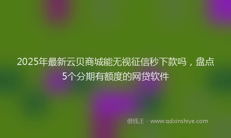 2025年最新云贝商城能无视征信秒下款吗，盘点5个分期有额度的网贷软件