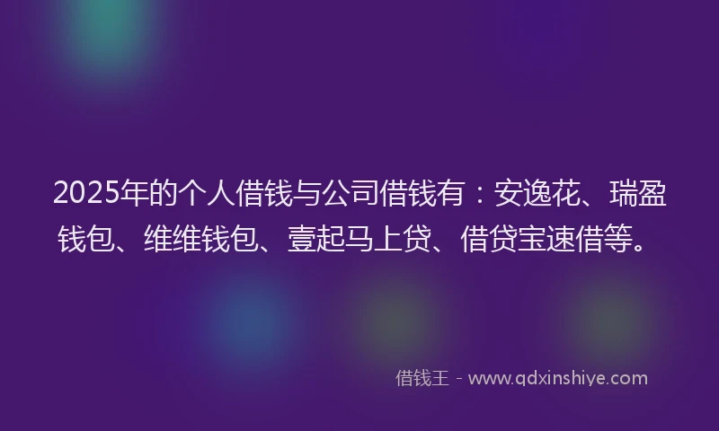2025年的个人借钱与公司借钱有：安逸花、瑞盈钱包、维维钱包、壹起马上贷、借贷宝速借等。