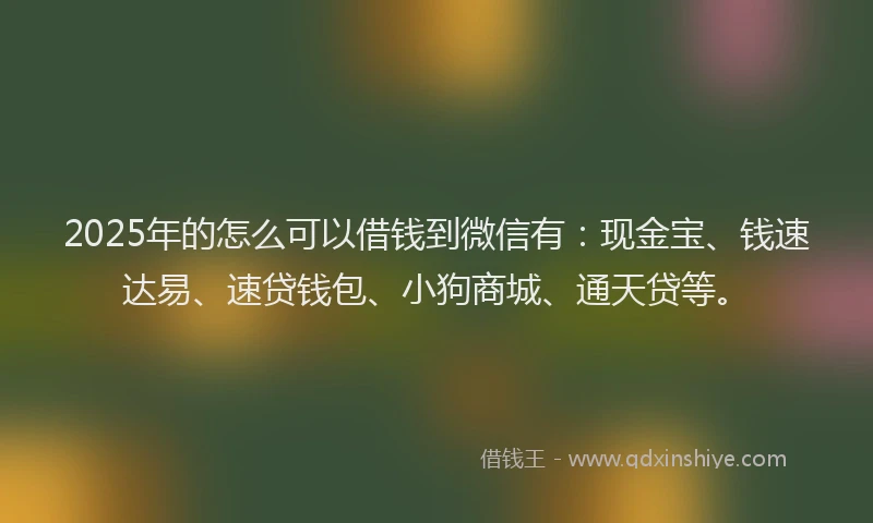 2025年的怎么可以借钱到微信有：现金宝、钱速达易、速贷钱包、小狗商城、通天贷等。
