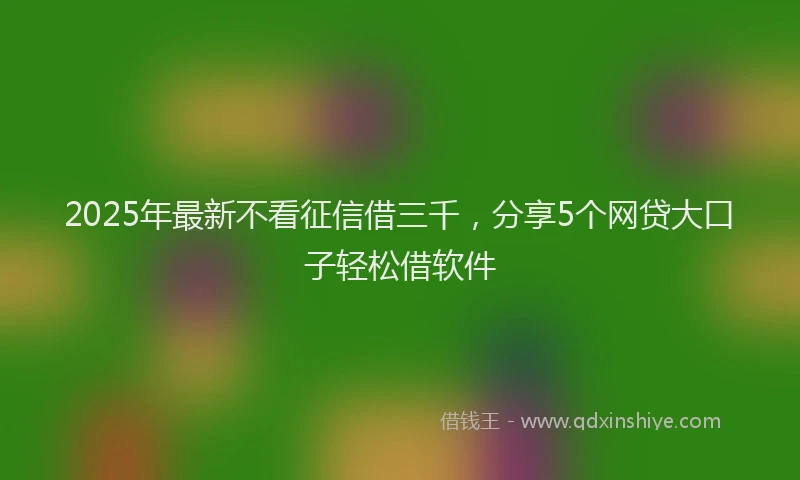2025年最新不看征信借三千，分享5个网贷大口子轻松借软件