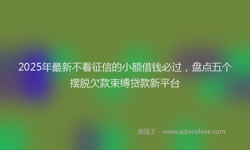 2025年最新不看征信的小额借钱必过，盘点五个摆脱欠款束缚贷款新平台
