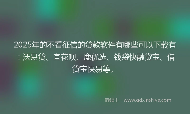 2025年的不看征信的贷款软件有哪些可以下载有：沃易贷、宜花呗、鹿优选、钱袋快融贷宝、借贷宝快易等。