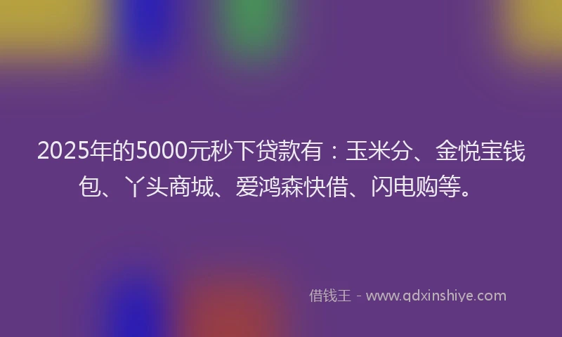 2025年的5000元秒下贷款有：玉米分、金悦宝钱包、丫头商城、爱鸿森快借、闪电购等。