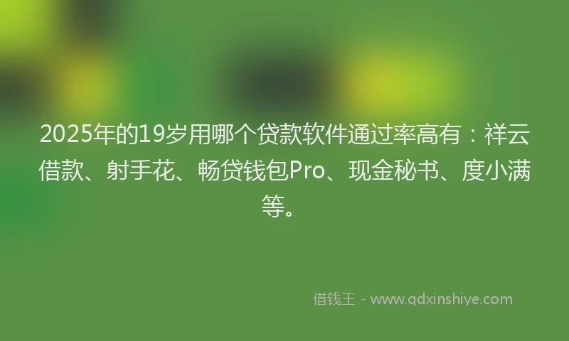 2025年的19岁用哪个贷款软件通过率高有：祥云借款、射手花、畅贷钱包Pro、现金秘书、度小满等。
