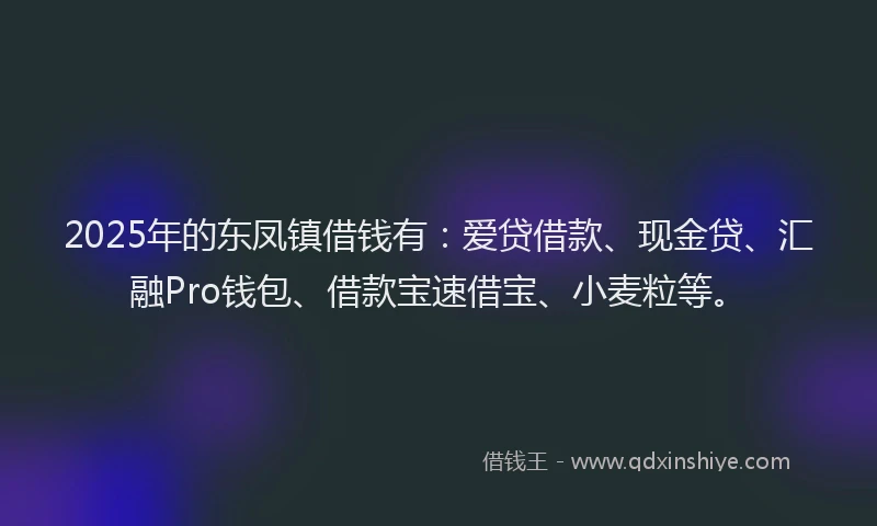2025年的东凤镇借钱有：爱贷借款、现金贷、汇融Pro钱包、借款宝速借宝、小麦粒等。