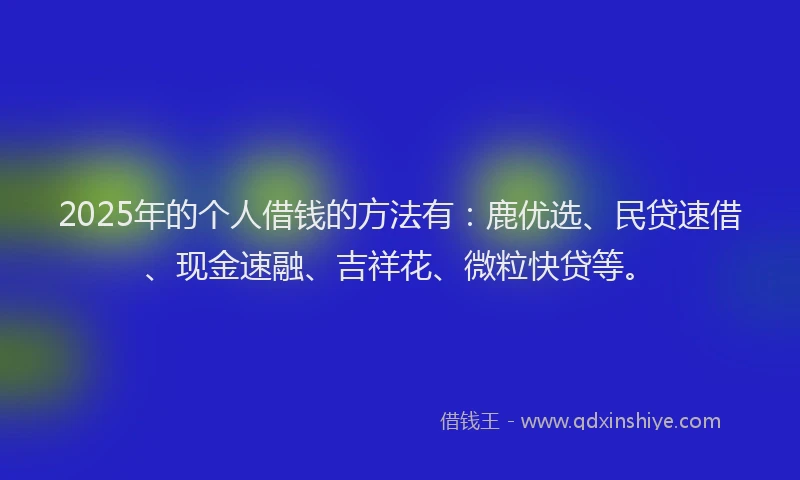 2025年的个人借钱的方法有：鹿优选、民贷速借、现金速融、吉祥花、微粒快贷等。