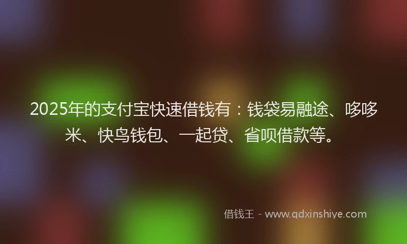 2025年的支付宝快速借钱有：钱袋易融途、哆哆米、快鸟钱包、一起贷、省呗借款等。
