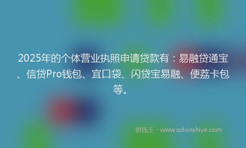 2025年的个体营业执照申请贷款有：易融贷通宝、信贷Pro钱包、宜口袋、闪贷宝易融、便荔卡包等。