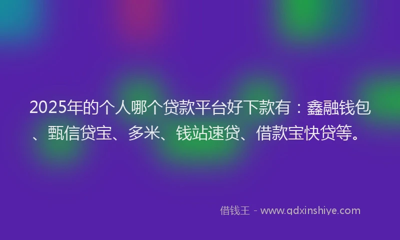 2025年的个人哪个贷款平台好下款有：鑫融钱包、甄信贷宝、多米、钱站速贷、借款宝快贷等。