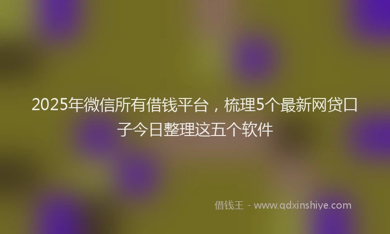 2025年微信所有借钱平台，梳理5个最新网贷口子今日整理这五个软件