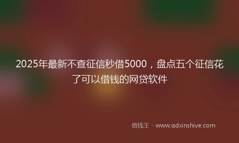 2025年最新不查征信秒借5000，盘点五个征信花了可以借钱的网贷软件