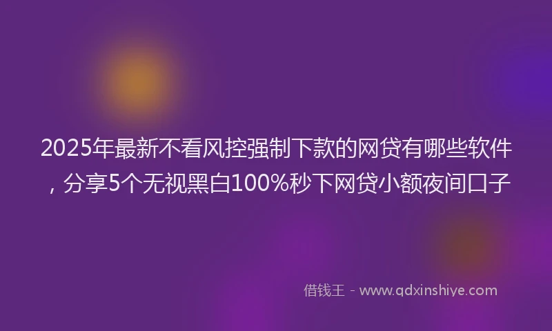 2025年最新不看风控强制下款的网贷有哪些软件，分享5个无视黑白100%秒下网贷小额夜间口子
