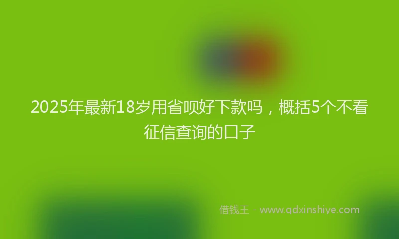 2025年最新18岁用省呗好下款吗，概括5个不看征信查询的口子