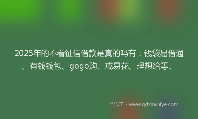 2025年的不看征信借款是真的吗有：钱袋易借通、有钱钱包、gogo购、戒易花、理想给等。