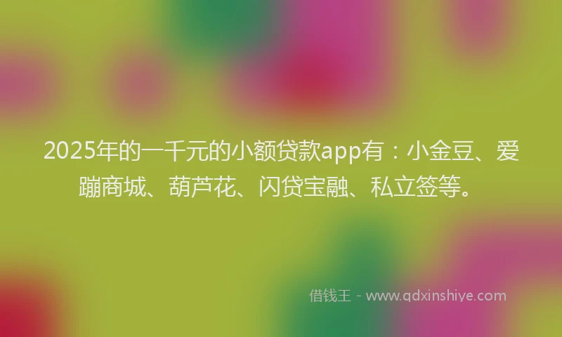2025年的一千元的小额贷款app有：小金豆、爱蹦商城、葫芦花、闪贷宝融、私立签等。