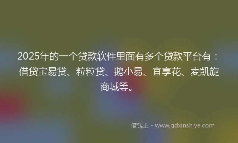 2025年的一个贷款软件里面有多个贷款平台有：借贷宝易贷、粒粒贷、鹅小易、宜享花、麦凯旋商城等。