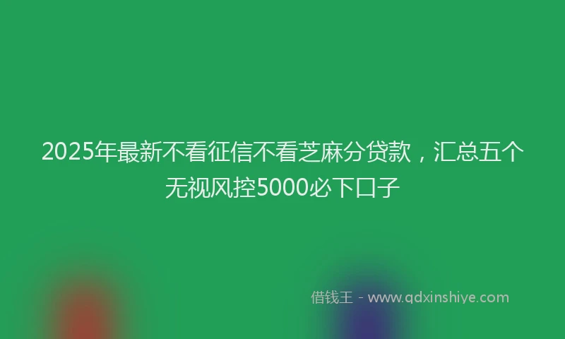 2025年最新不看征信不看芝麻分贷款，汇总五个无视风控5000必下口子