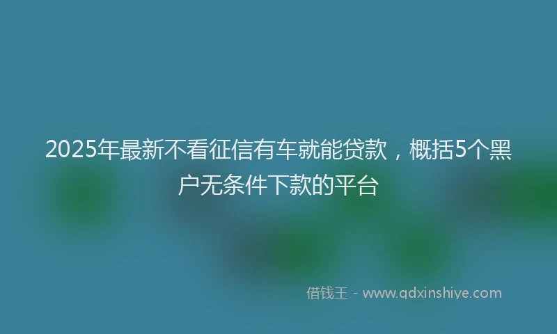 2025年最新不看征信有车就能贷款，概括5个黑户无条件下款的平台
