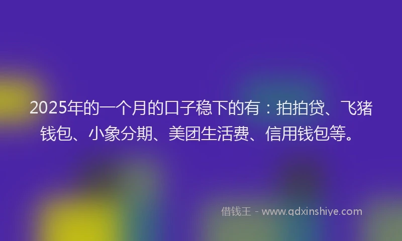 2025年的一个月的口子稳下的有：拍拍贷、飞猪钱包、小象分期、美团生活费、信用钱包等。