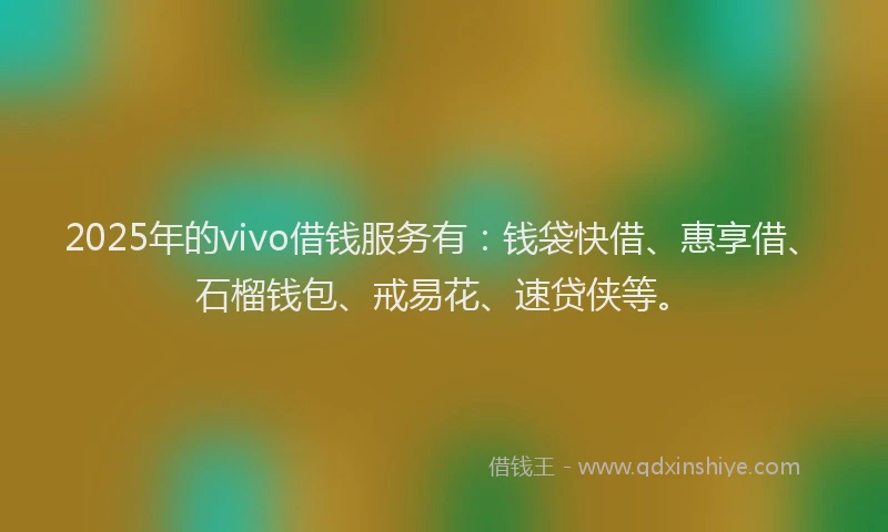 2025年的vivo借钱服务有：钱袋快借、惠享借、石榴钱包、戒易花、速贷侠等。