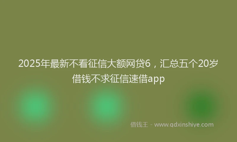 2025年最新不看征信大额网贷6，汇总五个20岁借钱不求征信速借app