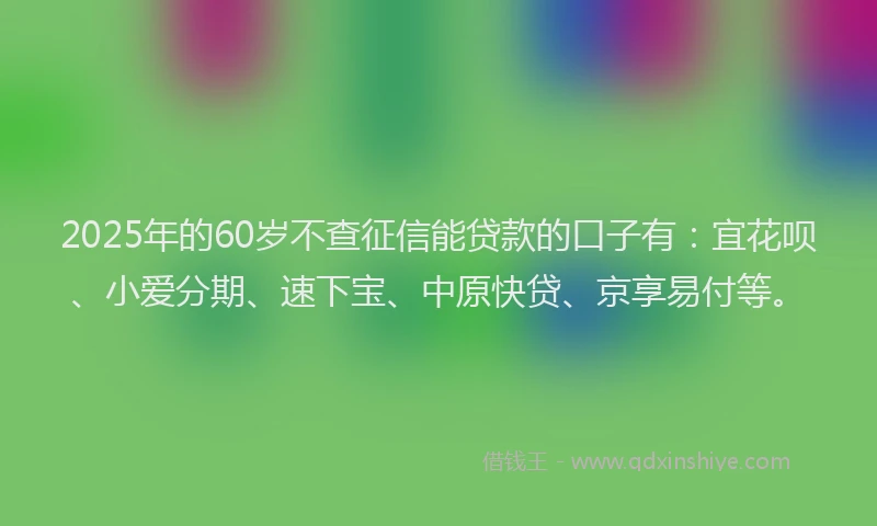2025年的60岁不查征信能贷款的口子有：宜花呗、小爱分期、速下宝、中原快贷、京享易付等。