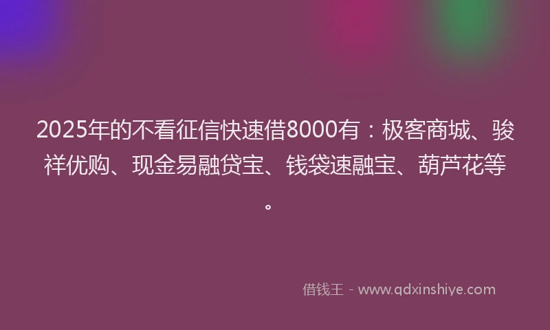 2025年的不看征信快速借8000有：极客商城、骏祥优购、现金易融贷宝、钱袋速融宝、葫芦花等。