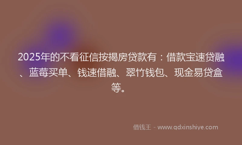 2025年的不看征信按揭房贷款有：借款宝速贷融、蓝莓买单、钱速借融、翠竹钱包、现金易贷盒等。