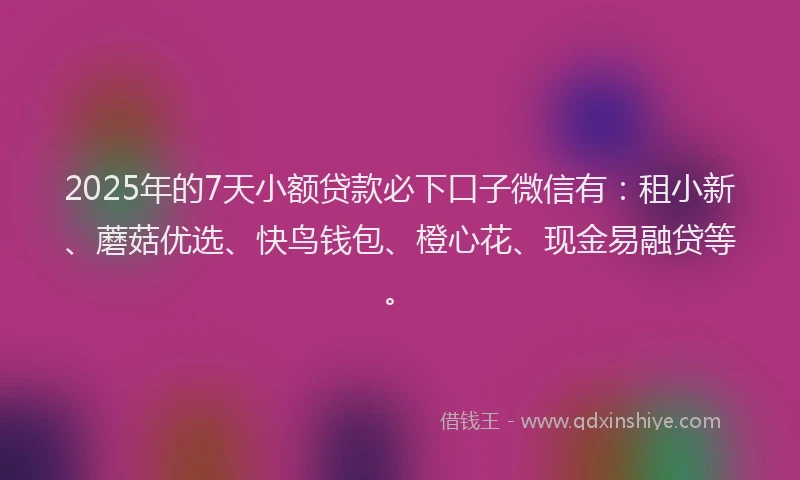2025年的7天小额贷款必下口子微信有：租小新、蘑菇优选、快鸟钱包、橙心花、现金易融贷等。