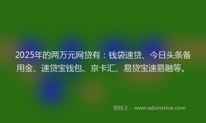 2025年的两万元网贷有：钱袋速贷、今日头条备用金、速贷宝钱包、京卡汇、易贷宝速易融等。