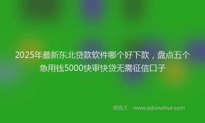 2025年最新东北贷款软件哪个好下款，盘点五个急用钱5000快审快贷无需征信口子