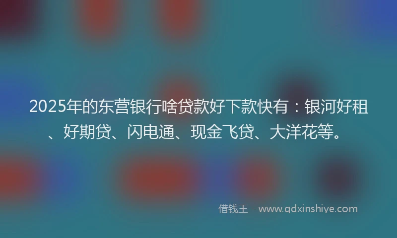 2025年的东营银行啥贷款好下款快有：银河好租、好期贷、闪电通、现金飞贷、大洋花等。