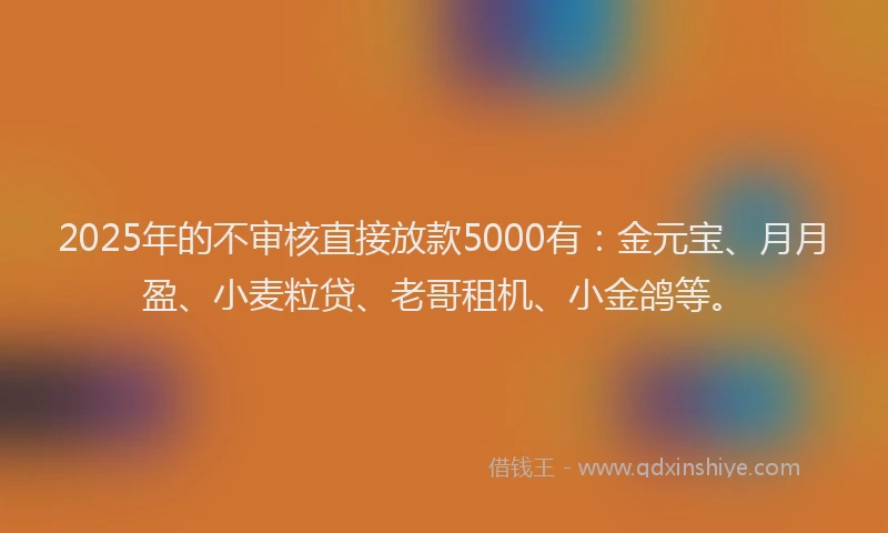 2025年的不审核直接放款5000有：金元宝、月月盈、小麦粒贷、老哥租机、小金鸽等。