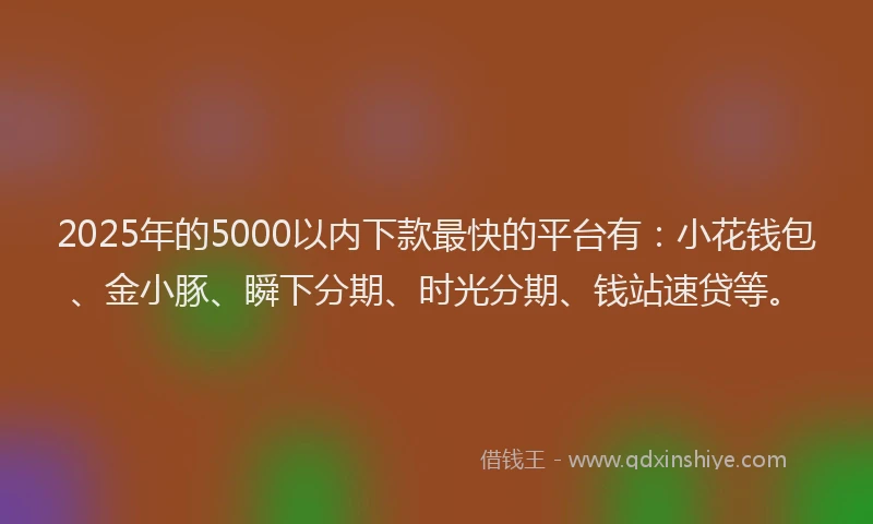 2025年的5000以内下款最快的平台有：小花钱包、金小豚、瞬下分期、时光分期、钱站速贷等。