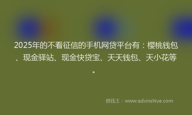 2025年的不看征信的手机网贷平台有：樱桃钱包、现金驿站、现金快贷宝、天天钱包、天小花等。
