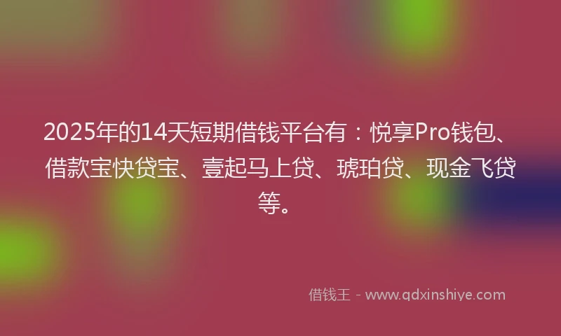 2025年的14天短期借钱平台有：悦享Pro钱包、借款宝快贷宝、壹起马上贷、琥珀贷、现金飞贷等。