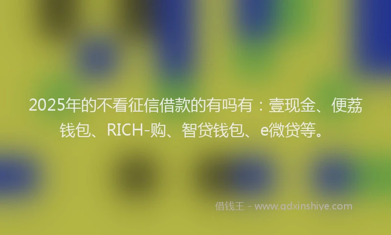 2025年的不看征信借款的有吗有：壹现金、便荔钱包、RICH-购、智贷钱包、e微贷等。