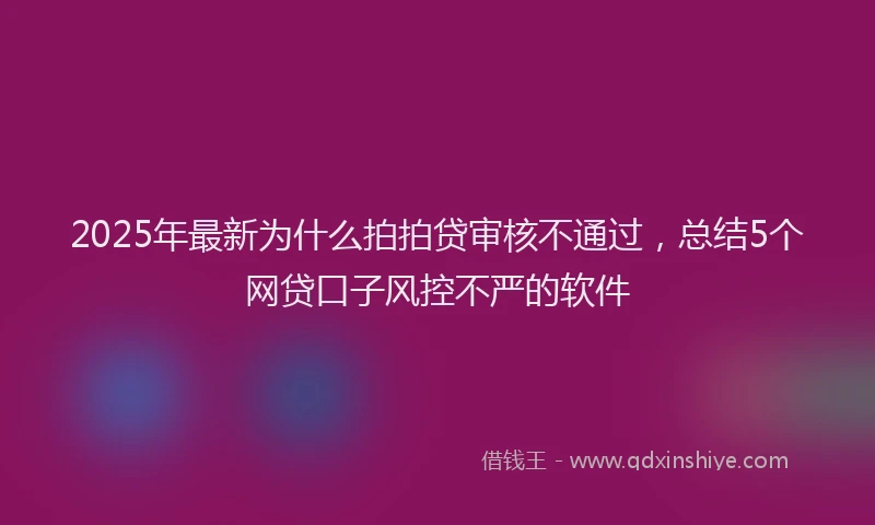 2025年最新为什么拍拍贷审核不通过，总结5个网贷口子风控不严的软件