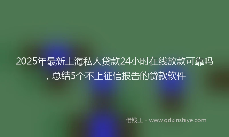 2025年最新上海私人贷款24小时在线放款可靠吗，总结5个不上征信报告的贷款软件