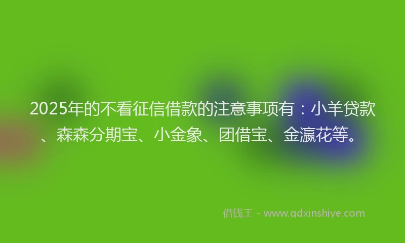 2025年的不看征信借款的注意事项有：小羊贷款、森森分期宝、小金象、团借宝、金瀛花等。
