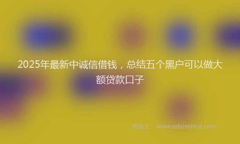 2025年最新中诚信借钱，总结五个黑户可以做大额贷款口子